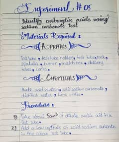 Handwriting assignment work