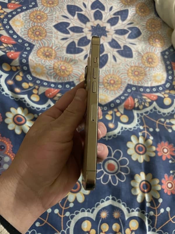 iPhone 13 Pro Gold Back Break LL/A 3