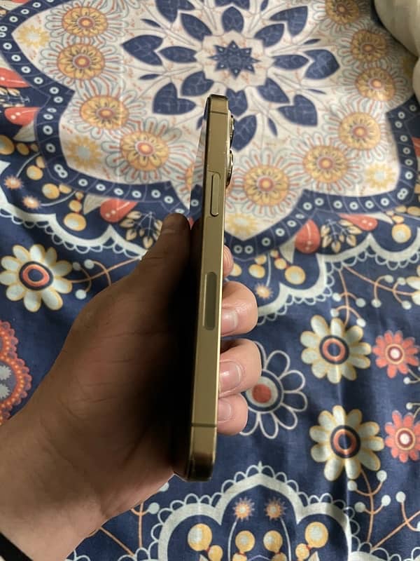 iPhone 13 Pro Gold Back Break LL/A 4