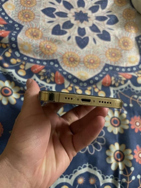 iPhone 13 Pro Gold Back Break LL/A 5