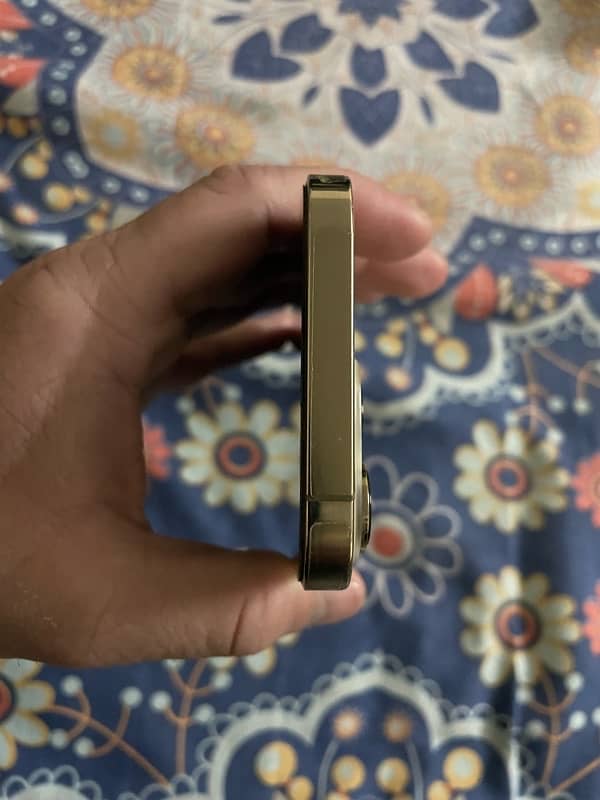 iPhone 13 Pro Gold Back Break LL/A 6