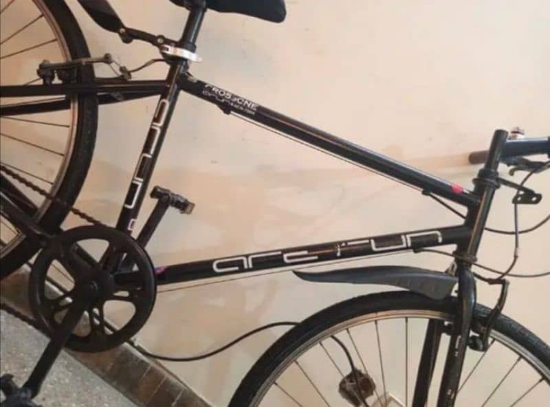 Arun JAPAN IMPORTED CYCLE. 26 INCH 10 BY 9-5 Condition 6