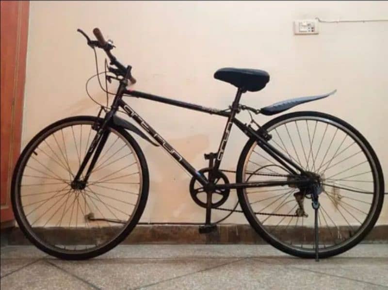 Arun JAPAN IMPORTED CYCLE. 26 INCH 10 BY 9-5 Condition 10