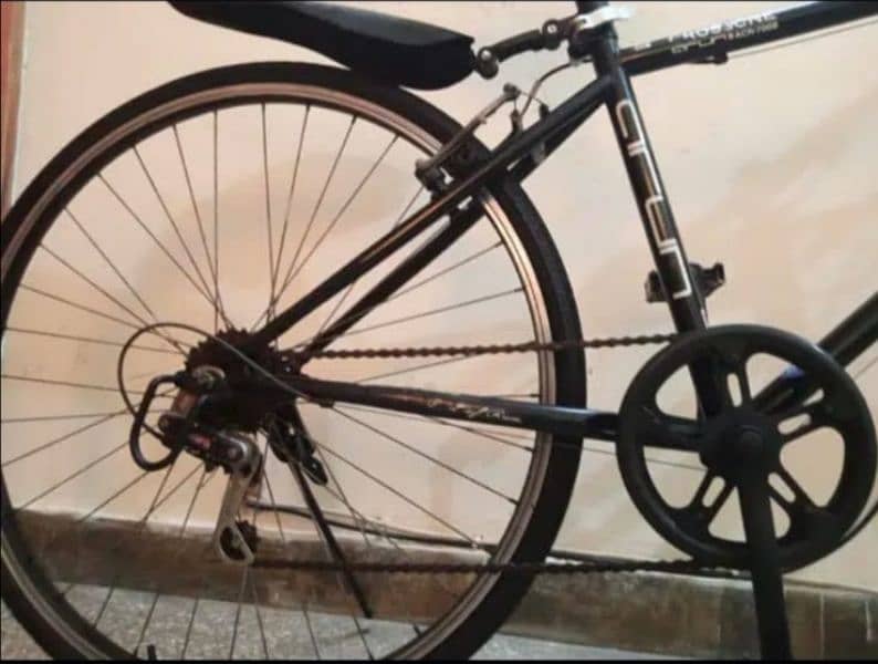 Arun JAPAN IMPORTED CYCLE. 26 INCH 10 BY 9-5 Condition 12