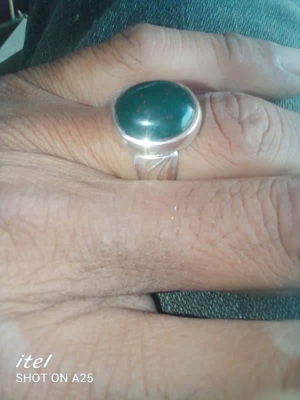 BLOODSTONE IN SILVER 5