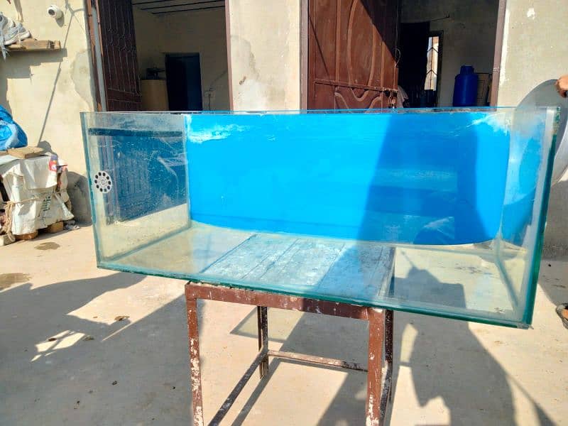 Fish Equilibrium for Urgent Sale 0