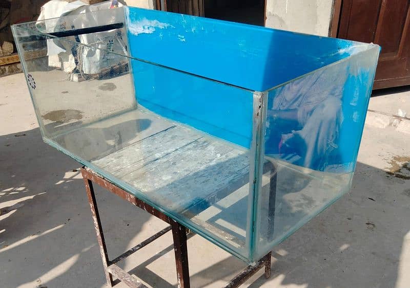 Fish Equilibrium for Urgent Sale 3