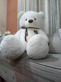 Teddy bear/Best collection of soft and fluffy/Gift for girls/valentine