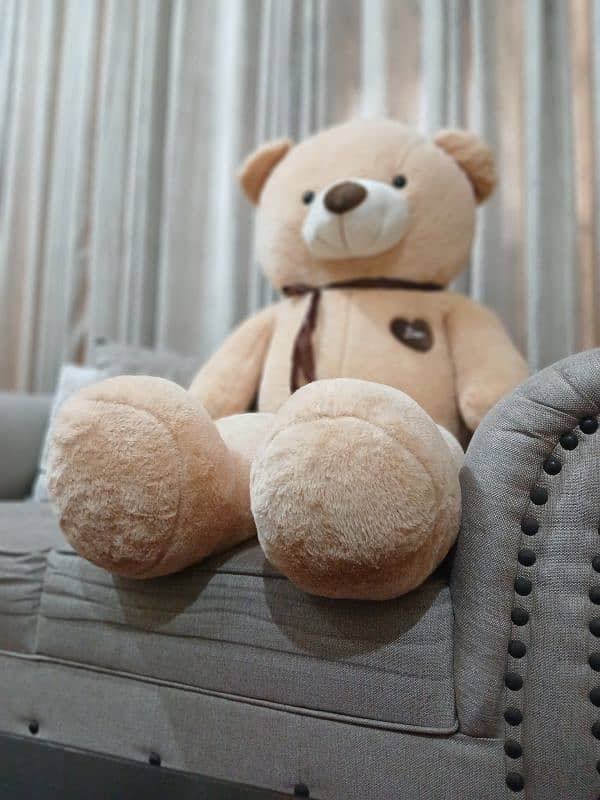 Teddy bear/Best collection of soft and fluffy/Gift for girls/valentine 1