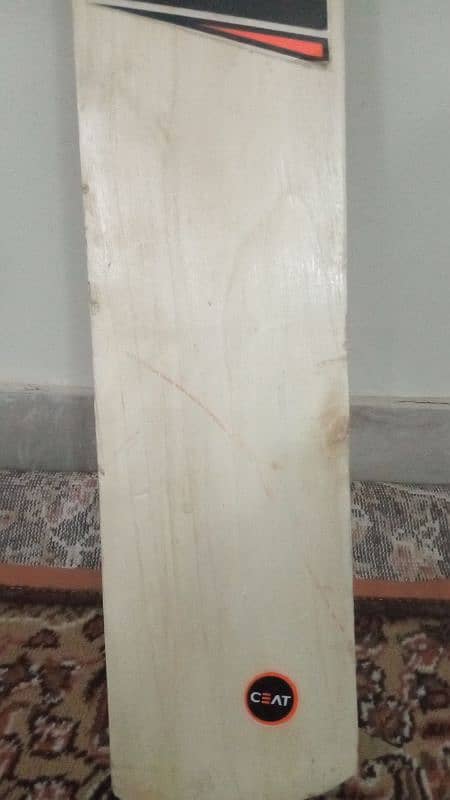 URGENT SELLING ENGLISH WILLOW BAT FOR SALE WOODEN BAT 3