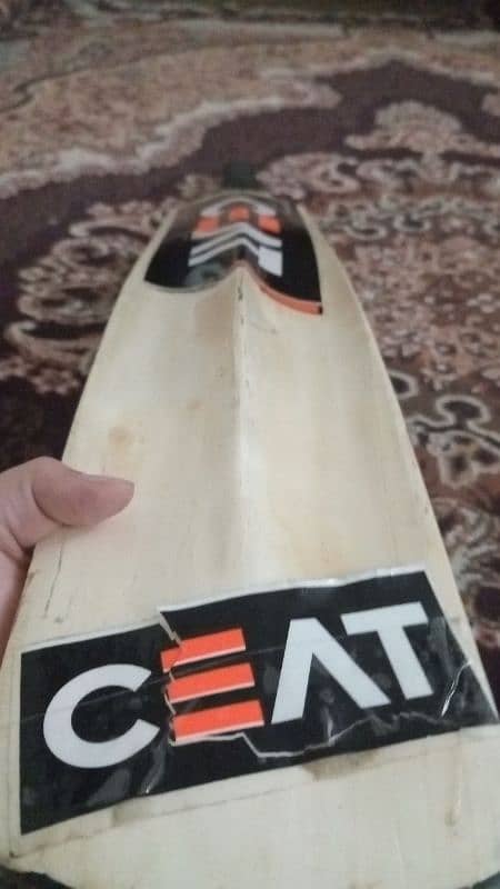 URGENT SELLING ENGLISH WILLOW BAT FOR SALE WOODEN BAT 8