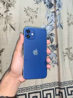 iPhone 12 Non PTA (64gb) (Exchange possible with only iPhone)