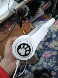 cat ear headphone