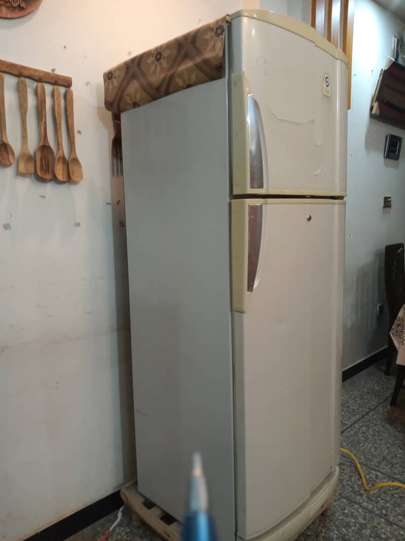 Pel refrigerator good condition / full size . 7