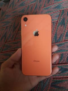 iPhone xr