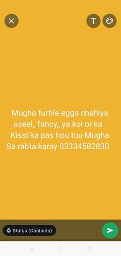 Mugha furtile eggs ke zarorat ha . . . . . han Tou batay Aseel or fancy