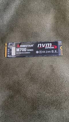 BIOSTAR M700 512GB M. 2 SSD