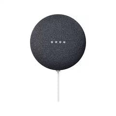 Google nest mini 1