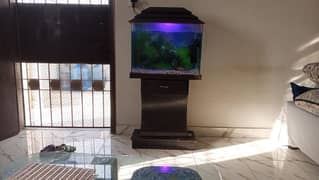 aquarium urgent sale price 11000