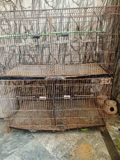 lovebird and other birds cage for sale 1.5 by 1.5 size ha 4 portion ha