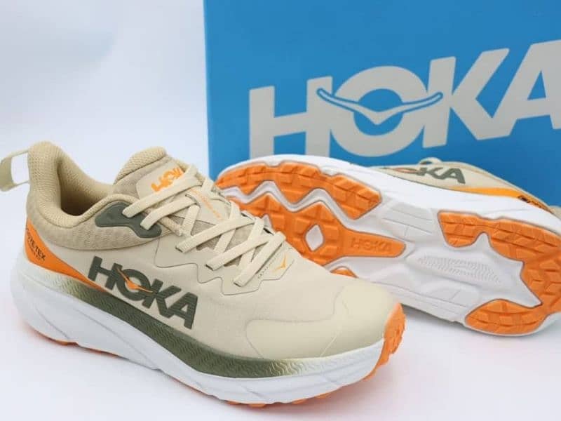 Hoka GORE-TEX invisible fit 2 inch soles 0