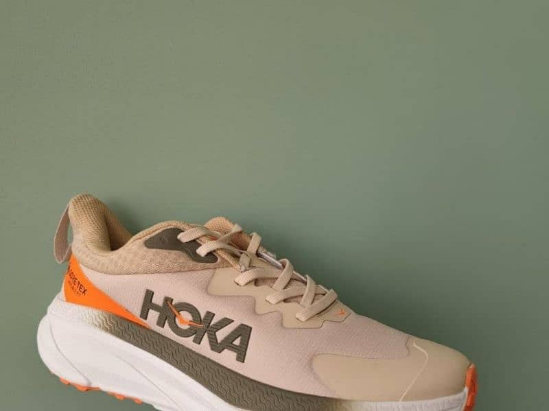 Hoka GORE-TEX invisible fit 2 inch soles 3