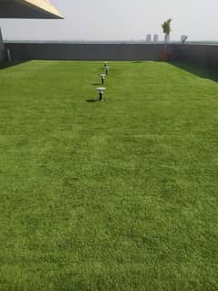 ARTIFICIAL GRASS CARPETS