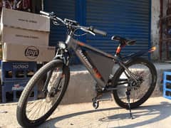 electric bicycle