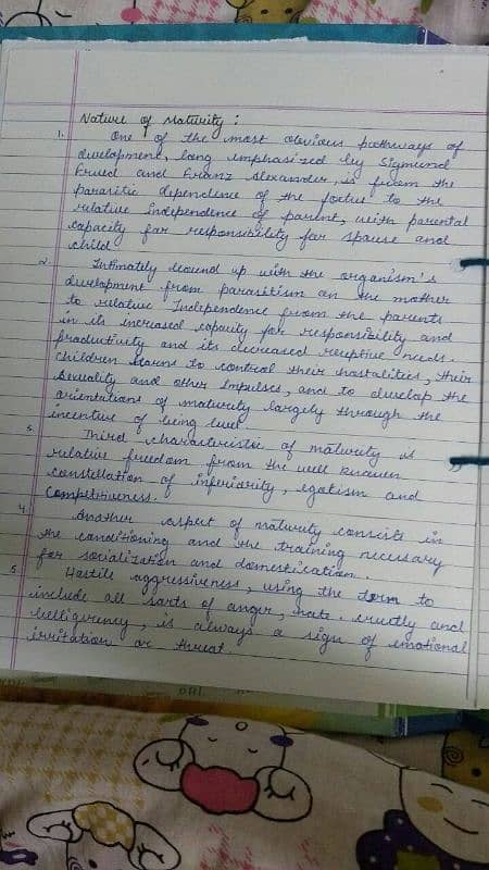 Hand writing assignment work 0