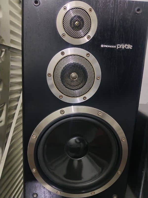 Speaker pioneer 100 w 10 inch 1