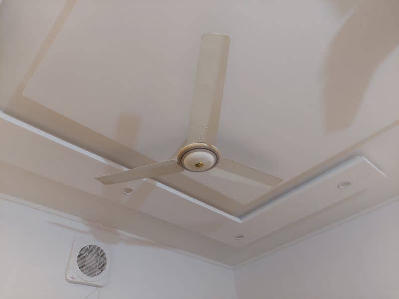 Celling fan 0