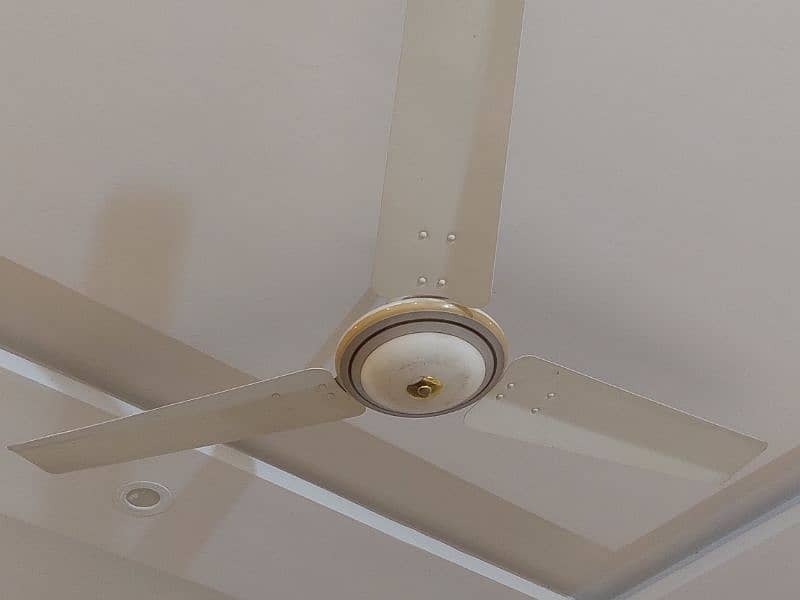 Celling fan 1