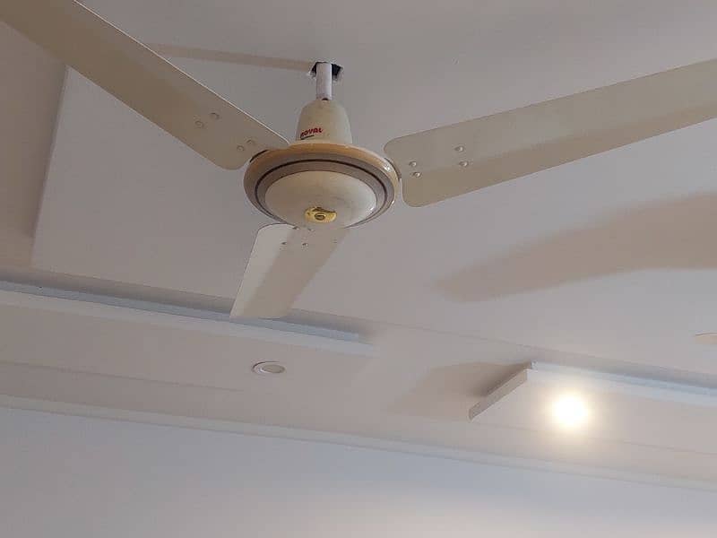 Celling fan 2