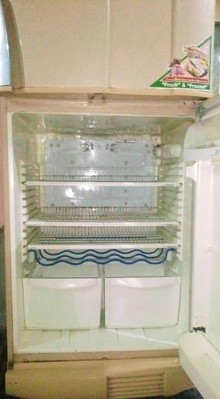 PEL Fridge For sale Full Size 2 Door 1