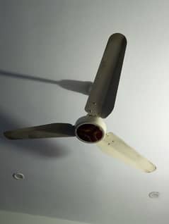 fan,clean