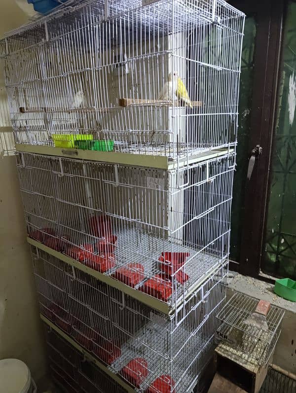 12 portion Folding cage 2