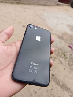 iphone 8 lush condition 64 gb non