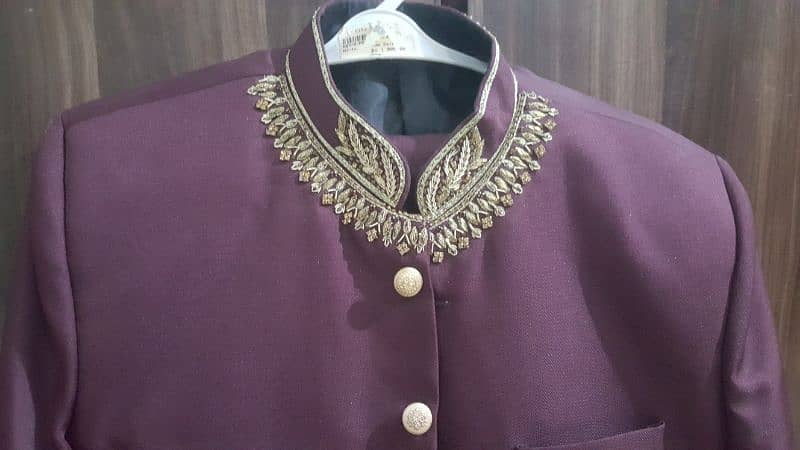 prince coat with same pent color 2