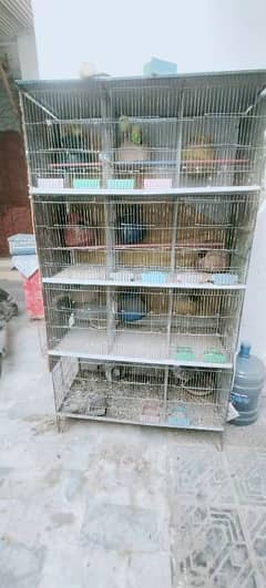 12 portion Cage with Australian Perot