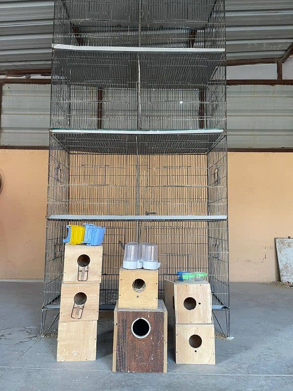 8 portion cage new condition or Accessories 0