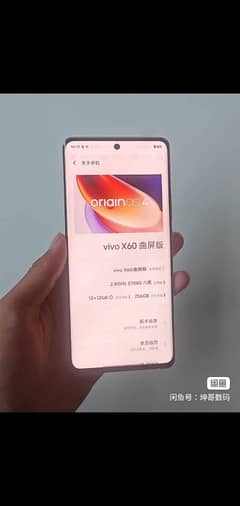 vivo  x60