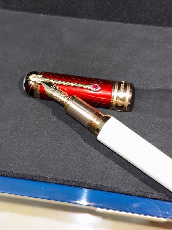 Montblanc Patron of Art Homage to Albert Limited Edition 4810 Pen 5