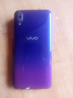 vivo