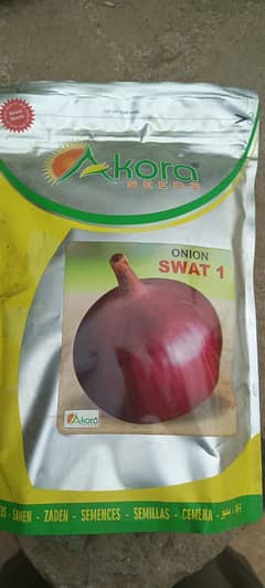 Onion paneri