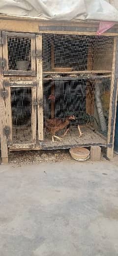 used pinjre for hen and rabbit and pigeon