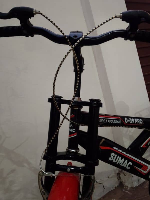 Sumac 0_39 pro Bicycle 2