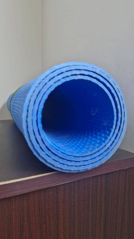 gym equipment- pushup bars, skipping ropes, 2 kg dumbells,yoga mat 1