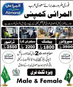 Job/Jobs /Jobs in Saudi Arabia / visa /Job Available / need Staff