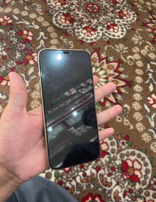 iPhone 12 Pro Max jv 85 hazar na  kam wala rabeta makawa argent sale 5