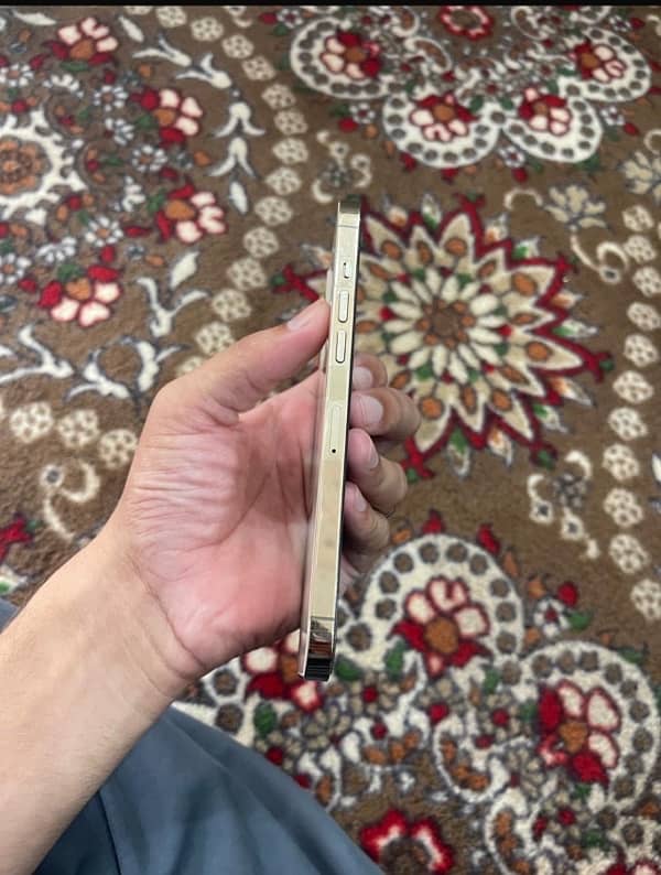 iPhone 12 Pro Max jv 85 hazar na  kam wala rabeta makawa argent sale 7